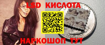 PSILOCYBIN Краснодар