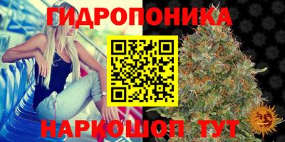 стафф Краснокаменск